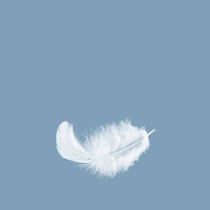 Photo de Jahid Yahya BROSSARD