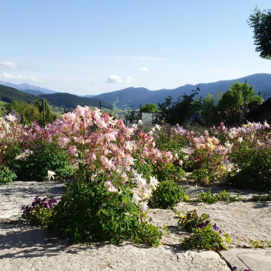 Photo de Josette EYBERT-BERARD
