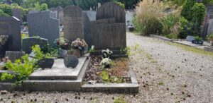 cimetière ancienne avec des plaques et fleurs